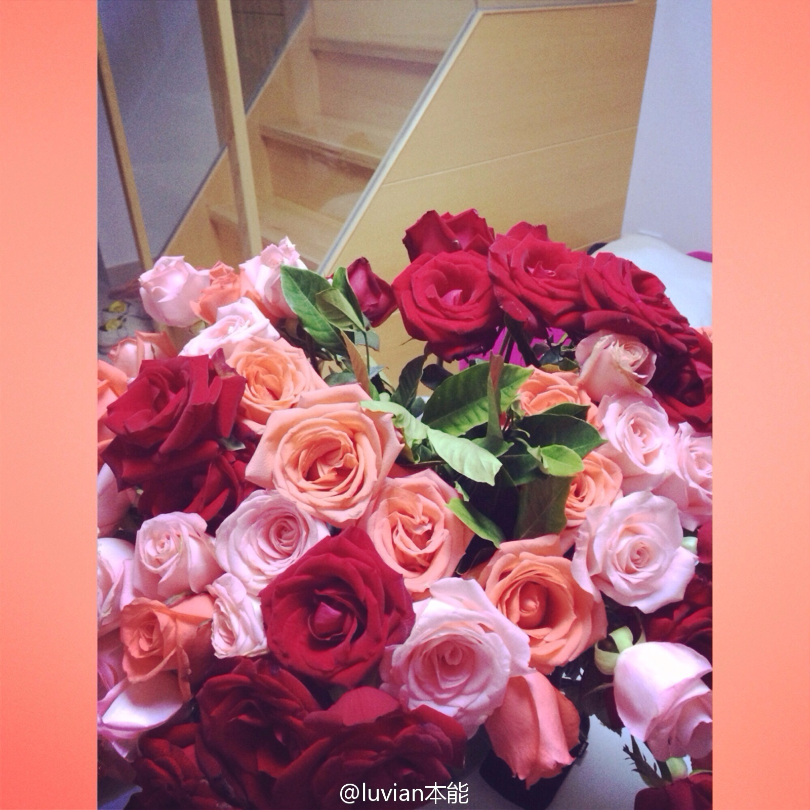 秀人美媛馆女郎luvian本能 微博相册集锦